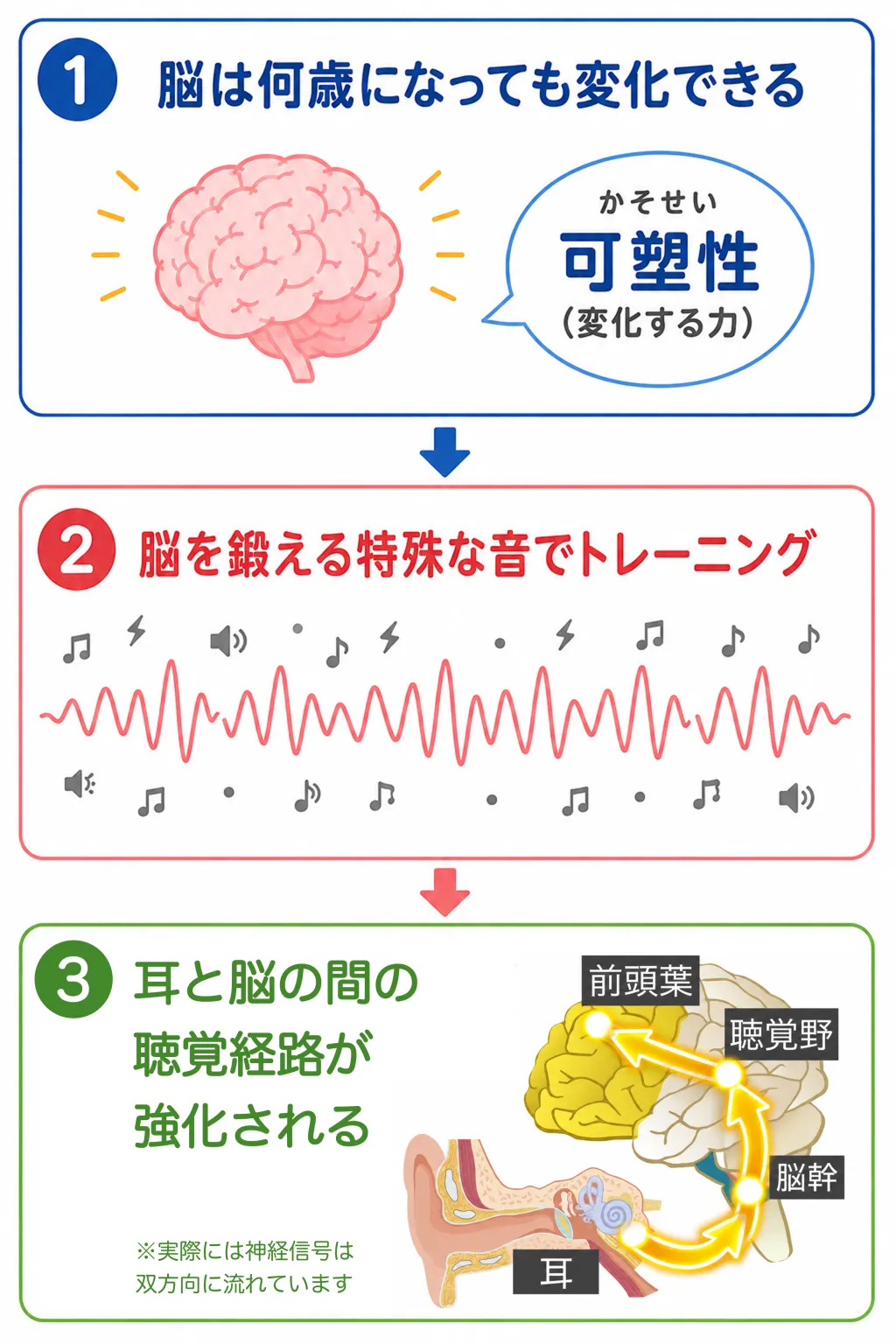 聞こえの仕組みイメージ