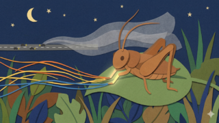 テーブル, 座る, ノートパソコン, コンピュータ が含まれている画像 AI 生成コンテンツは誤りを含む可能性があります。