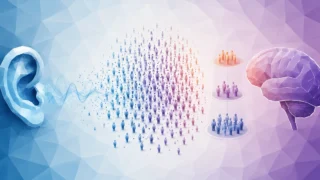 難聴が重いほど認知症との関連も強い？韓国38万人の追跡研究